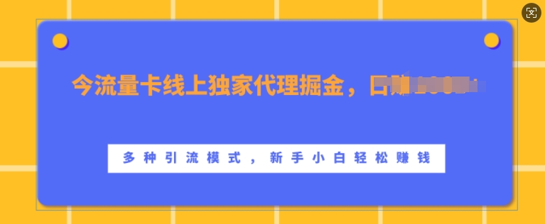 流量卡线上独家代理掘金，日入1k+ ，多种引流模式，新手小白轻松上手【揭秘】-摸金项目网