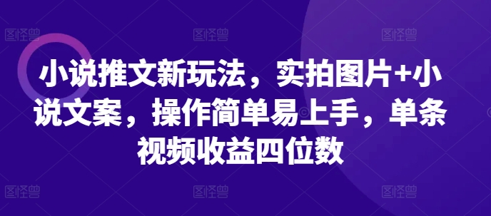 小说推文新玩法，实拍图片+小说文案，操作简单易上手，单条视频收益四位数-摸金项目网