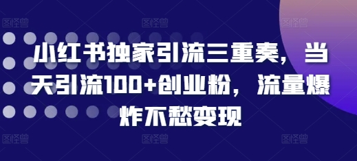 小红书独家引流三重奏，当天引流100+创业粉，流量爆炸不愁变现【揭秘】-摸金项目网