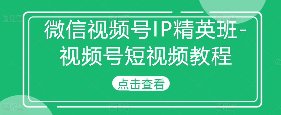 微信视频号IP精英班-视频号短视频教程-摸金项目网