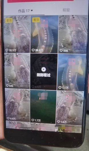 外面卖399的国学佛像原创暴力起号技术，快速起号，7天可达到一个万粉号-摸金项目网