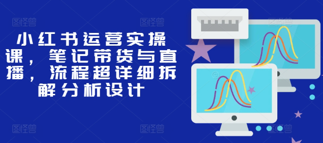 小红书运营实操课，笔记带货与直播，流程超详细拆解分析设计-摸金项目网