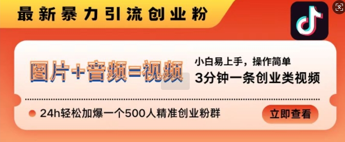 抖音最新暴力引流创业粉，3分钟一条创业类视频，24h轻松加爆一个500人精准创业粉群【揭秘】-摸金项目网