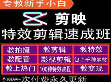 剪映特效教程和运营变现教程，特效剪辑速成班，专教新手小白-摸金项目网