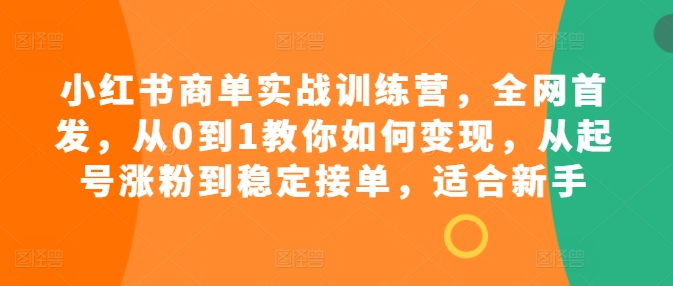 小红书商单实战训练营，全网首发，从0到1教你如何变现，从起号涨粉到稳定接单，适合新手-摸金项目网