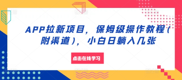 APP拉新项目，保姆级操作教程(附渠道)，小白日躺入几张【揭秘】-摸金项目网