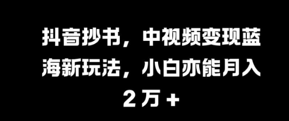 抖音抄书，中视频变现蓝海新玩法，小白亦能月入 过W【揭秘】-摸金项目网