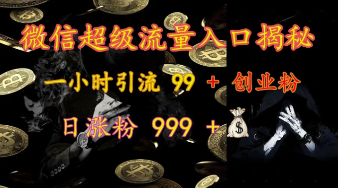 微信超级流量入口揭秘：一小时引流 99 + 创业粉，日涨粉 999 +-摸金项目网