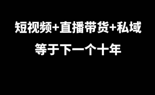 短视频+直播带货+私域等于下一个十年，大佬7年实战经验总结-摸金项目网