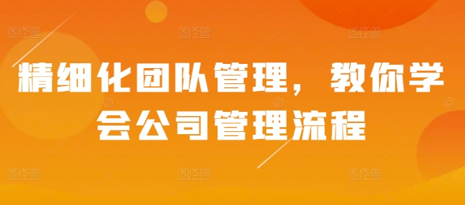 精细化团队管理，教你学会公司管理流程-摸金项目网