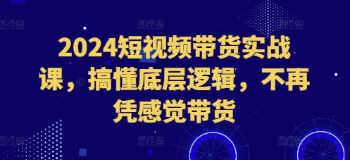 2024短视频带货实战课，搞懂底层逻辑，不再凭感觉带货-摸金项目网