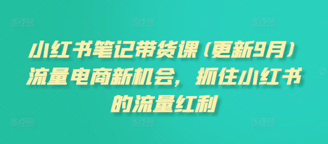 小红书笔记带货课(更新12月)流量电商新机会，抓住小红书的流量红利-摸金项目网