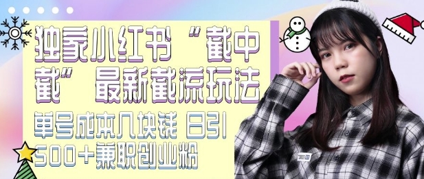 最新小红书截流玩法 独家截中截 单号成本几块钱 日引500+CY粉JZ粉-摸金项目网