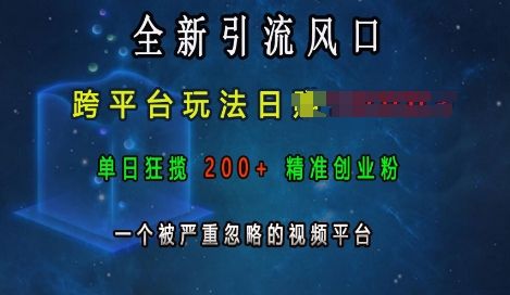 全新引流风口，跨平台玩法日入上k，单日狂揽200+精准创业粉，一个被严重忽略的视频平台-摸金项目网