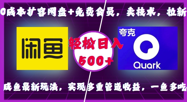 0成本扩容网盘+免费会员，卖技术，拉新，咸鱼最新玩法，实现多重管道收益，一鱼多吃，轻松日入500+-摸金项目网