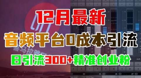 12月最新：音频平台0成本引流，日引流300+精准创业粉-摸金项目网