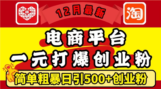 12月最新：电商平台1元打爆创业粉，简单粗暴日引500+精准创业粉，轻松月入过W【揭秘】-摸金项目网