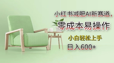 小红书减肥AI新赛道，零成本易操作，日入多张，小白轻松上手【揭秘】-摸金项目网