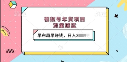 视频号年货项目，流量贼猛，早布局早挣钱，日入上k【揭秘】-摸金项目网