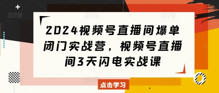 2024视频号直播间爆单闭门实战营，视频号直播间3天闪电实战课-摸金项目网