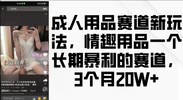 成人用品赛道新玩法，情趣用品一个长期暴利的赛道，3个月收益20个【揭秘】-摸金项目网