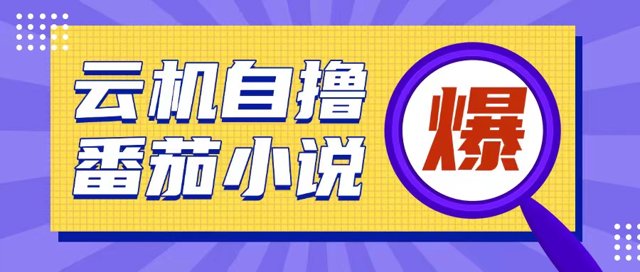 首发云手机自撸小说玩法，10块钱成本可撸200+收益操作简单【揭秘】-摸金项目网