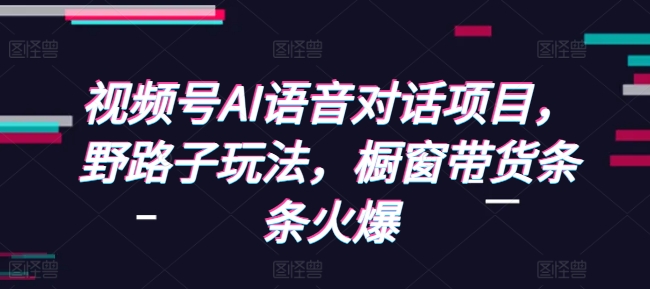 视频号AI语音对话项目，野路子玩法，橱窗带货条条火爆-摸金项目网