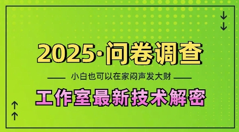 2025问卷调查最新工作室技术解密：一个人在家也可以闷声发大财，小白一天2张，可矩阵放大【揭秘】-摸金项目网