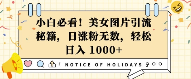 小白必看，美女图片引流秘籍，日涨粉无数，轻松日入几张【揭秘】-摸金项目网