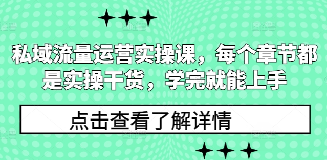 私域流量运营实操课，每个章节都是实操干货，学完就能上手-摸金项目网