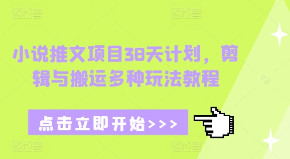 小说推文项目38天计划，剪辑与搬运多种玩法教程-摸金项目网