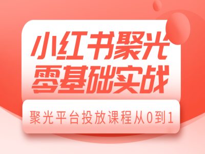 小红书聚光零基础实战，聚光平台投放课程从0到1-摸金项目网