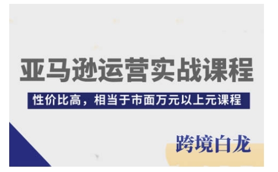 亚马逊运营实战课程，亚马逊从入门到精通，性价比高，相当于市面万元以上元课程-摸金项目网