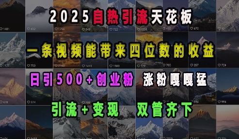 2025自热引流天花板，一条视频能带来四位数的收益，引流+变现双管齐下，日引500+创业粉，涨粉嘎嘎猛-摸金项目网