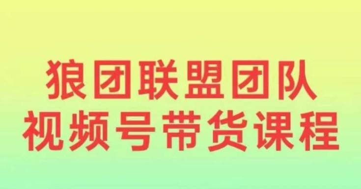 狼团联盟2024视频号带货，0基础小白快速入局视频号-摸金项目网