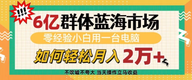 6亿群体蓝海市场，零经验小白用一台电脑，如何轻松月入过w【揭秘】-摸金项目网