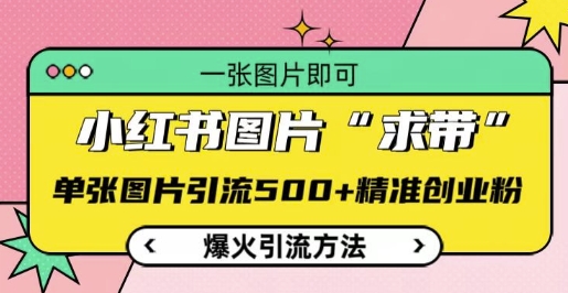 小红书图片‘求带’爆火引流法，单张图片引流500+精准创业粉【揭秘】-摸金项目网