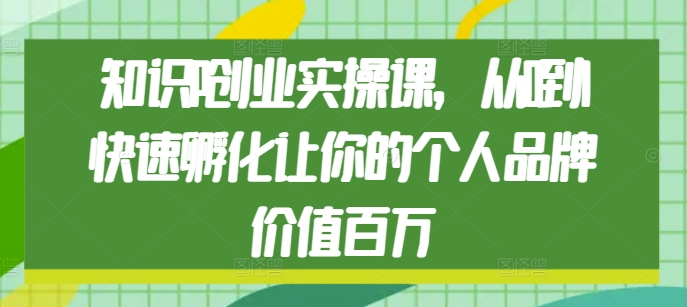 知识IP创业实操课，从0到1快速孵化让你的个人品牌价值百万-摸金项目网