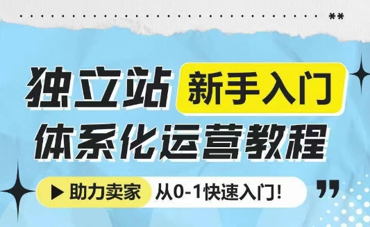 独立站新手入门体系化运营教程，助力独立站卖家从0-1快速入门!-摸金项目网