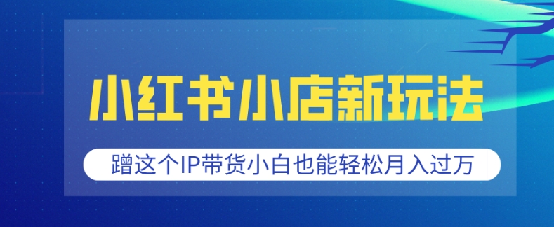 小红书小店新玩法，蹭这个IP带货，小白也能轻松月入过W【揭秘】-摸金项目网