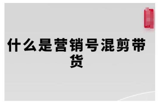 营销号混剪带货，从内容创作到流量变现的全流程，教你用营销号形式做混剪带货-摸金项目网