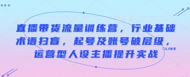 直播带货流量训练营，行业基础术语扫盲，起号及账号破层级，运营型人设主播提升实战-摸金项目网