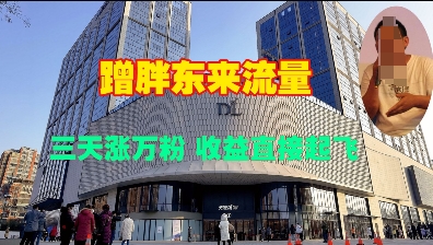 蹭胖东来流量，三天涨万粉，收益直接起飞-摸金项目网