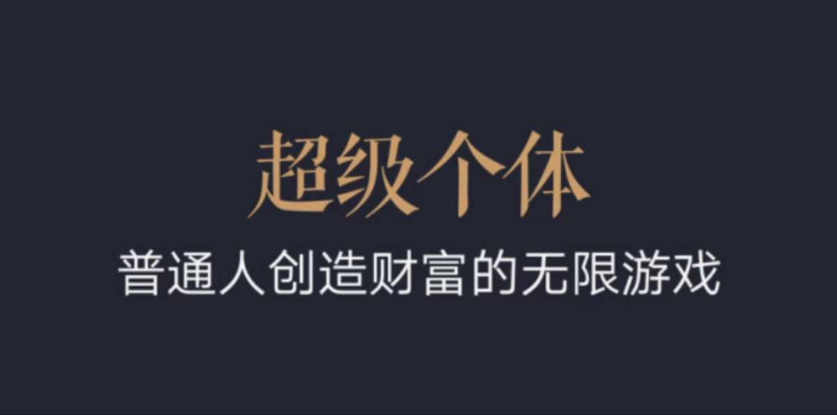 超级个体：2024-2025翻盘指南，普通人创造财富的无限游戏-摸金项目网