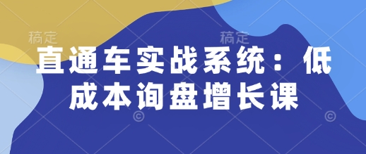 直通车实战系统：低成本询盘增长课，让个人通过技能实现升职加薪，让企业低成本获客，订单源源不断-摸金项目网