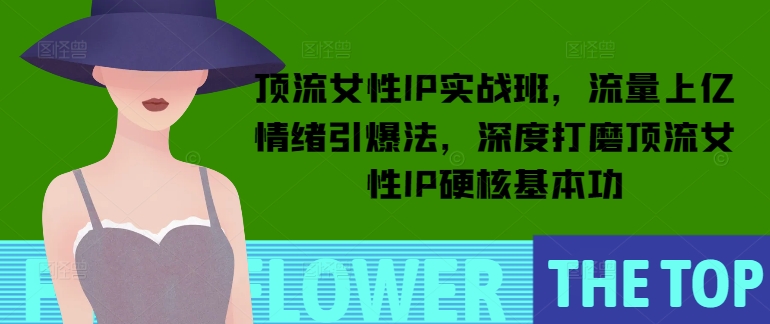 顶流女性IP实战班，流量上亿情绪引爆法，深度打磨顶流女性IP硬核基本功-摸金项目网