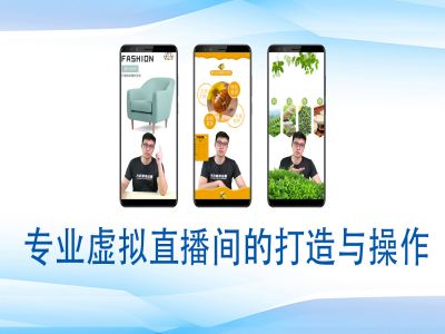 个人虚拟直播间的搭建与操作，专业虚拟直播间的打造与操作-摸金项目网