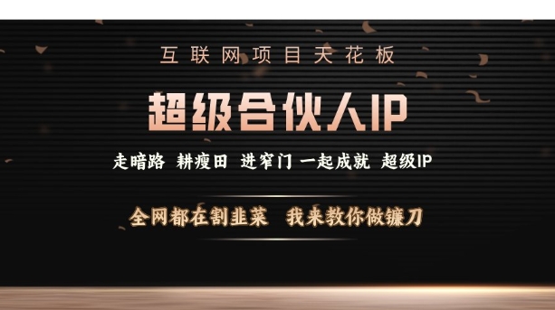 互联网项目天花板，超级合伙人IP，全网都在割韭菜，我来教你做镰刀【仅揭秘】-摸金项目网