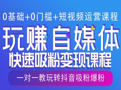 0基础+0门槛+短视频运营课程，玩赚自媒体快速吸粉变现课程，一对一教玩转抖音吸粉爆粉-摸金项目网
