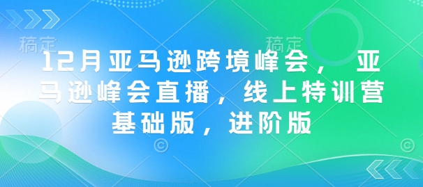 12月亚马逊跨境峰会， 亚马逊峰会直播，线上特训营基础版，进阶版-摸金项目网
